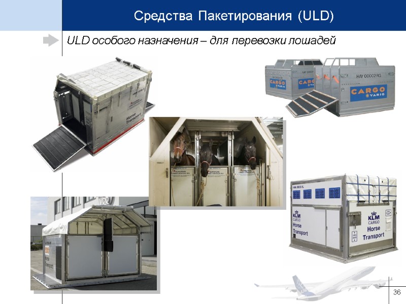 36 ULD особого назначения – для перевозки лошадей